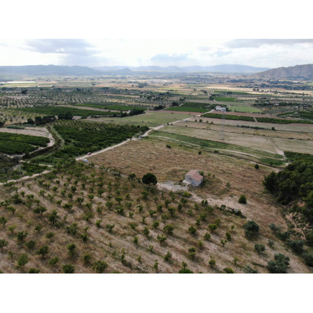 Parcela Campo Villena