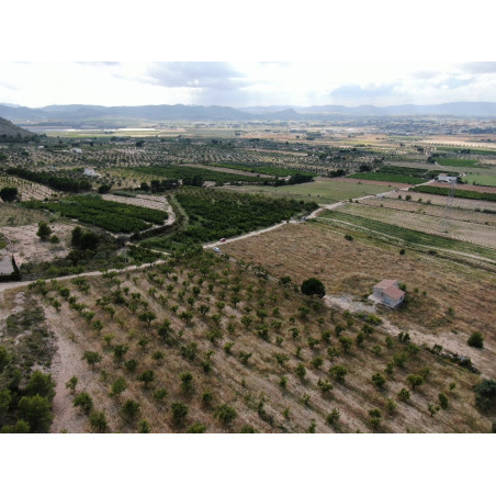 Parcela Campo Villena