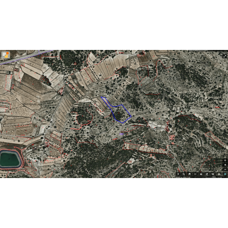 Parcela Monovar (Secanet)