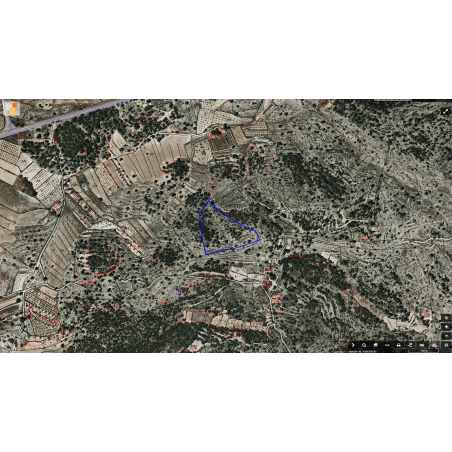 Parcela Monovar (Secanet)