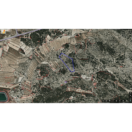 Parcela Monovar (Secanet)