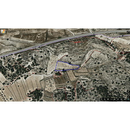 Parcela Monovar (Secanet)