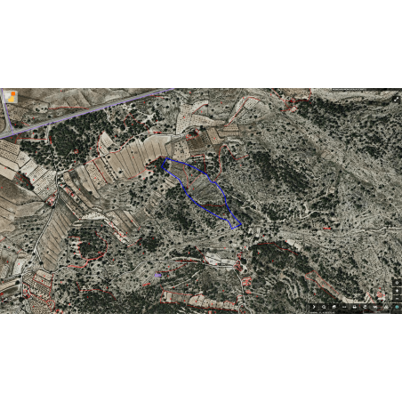 Parcela Monovar (Secanet)