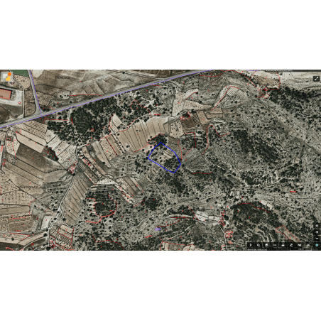 Parcela Monovar (Secanet)