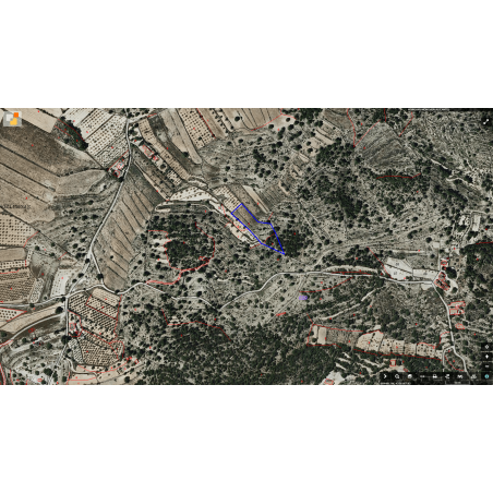 Parcela Monovar (Secanet)