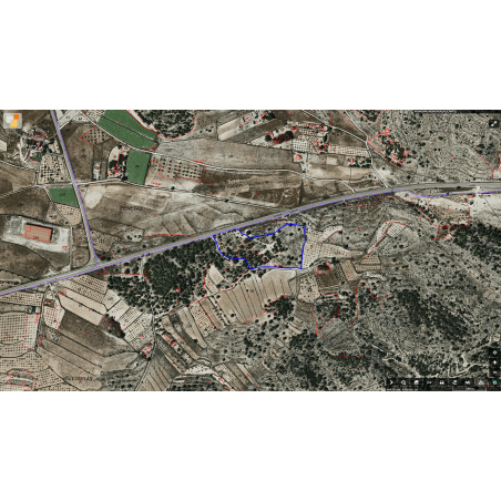 Parcela Monovar (Secanet)