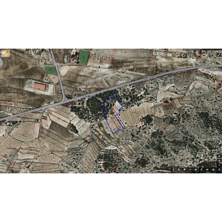 Parcela Monovar (Secanet)