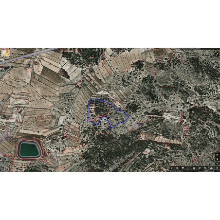 Parcela Monovar (Secanet)