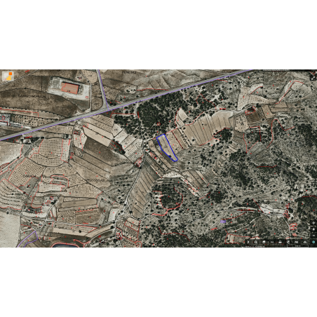 Parcela Monovar (Secanet)