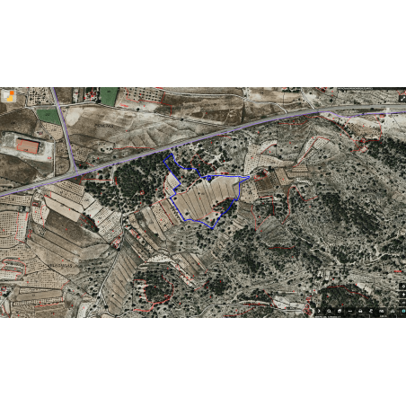 Parcela Monovar (Secanet)