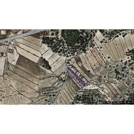 Parcela Monovar (Secanet)