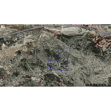 Parcela Monovar (Secanet)