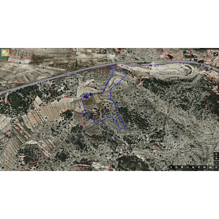 Parcela Monovar (Secanet)