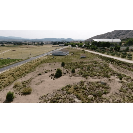 Parcela Villena La Solana