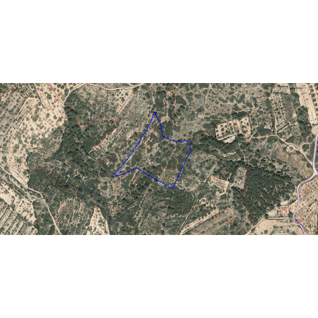 Parcela Castellón Altura